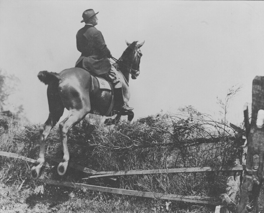 14. Теодор Рузвельт берет барьер, ок. 1902 г.