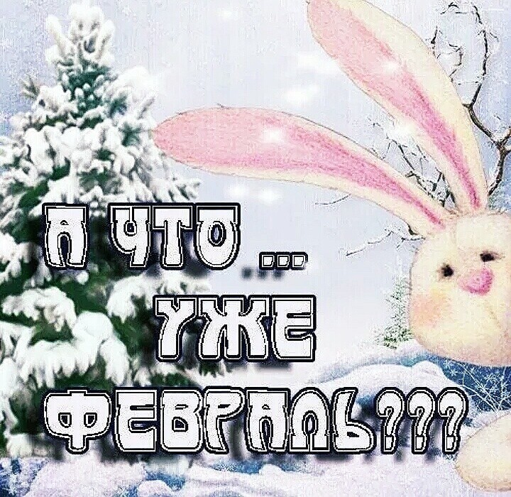 О политике и не только