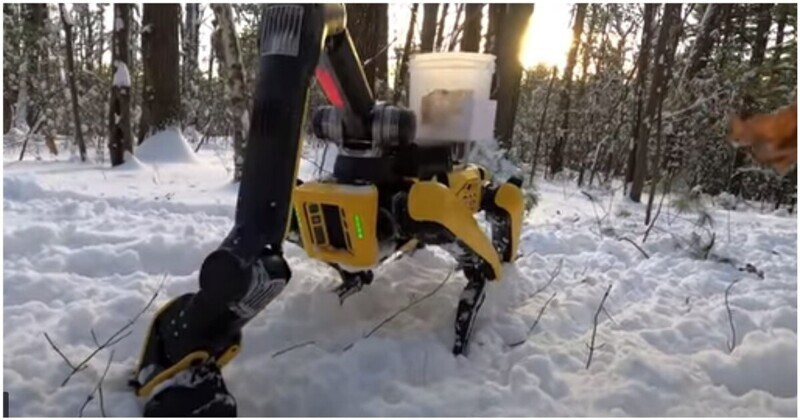Boston Dynamics показала, как работает новая рука у робособак Spot