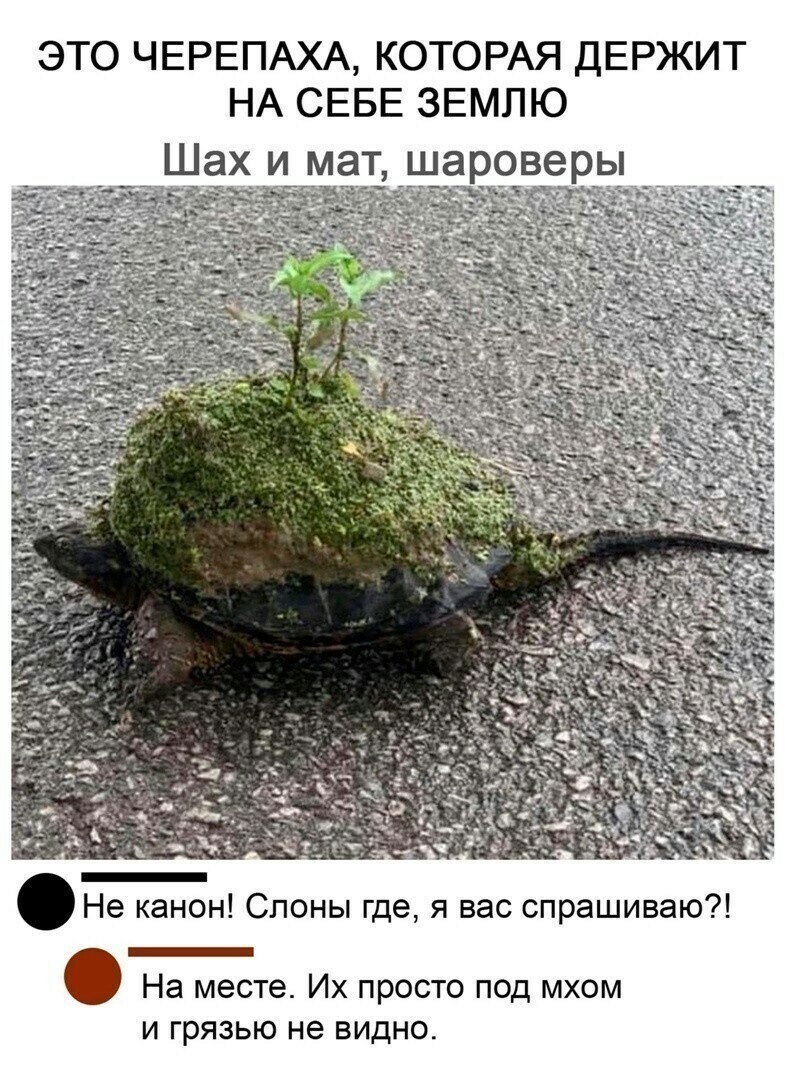 Политические комментарии и другой разный юмор с сарказмом и без