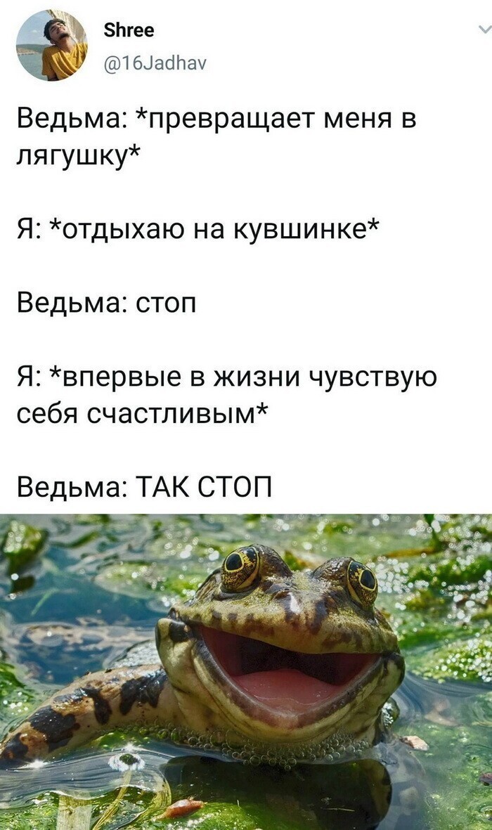 Скрины из соцсетей