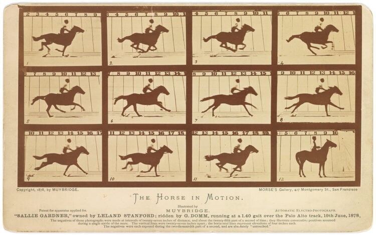 Эдвард Мейбридж, "Лошадь в движении", 1876 г.
