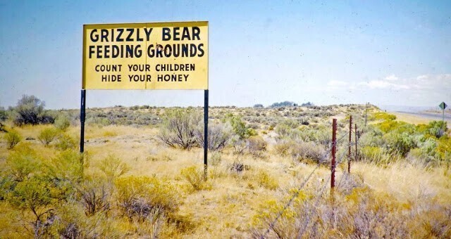 Места кормёжки  медведей гризли. Пересчитайте своих детей и спрячьте  свой мёд