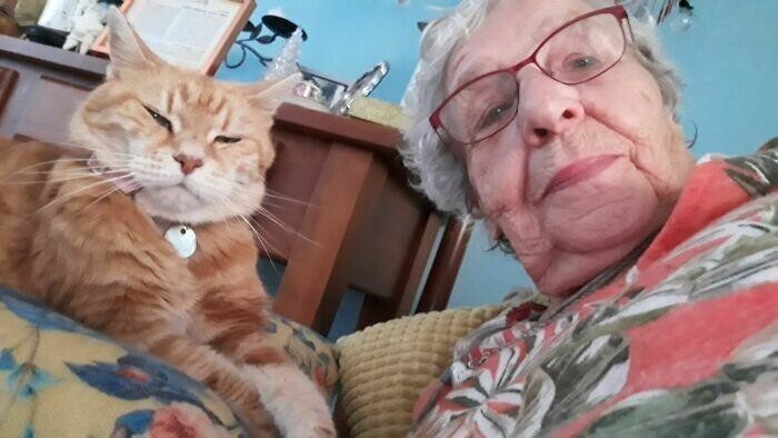 17. "Моя 90-летняя бабуля и ее 23-летний кот любят слать мне селфи на ночь"