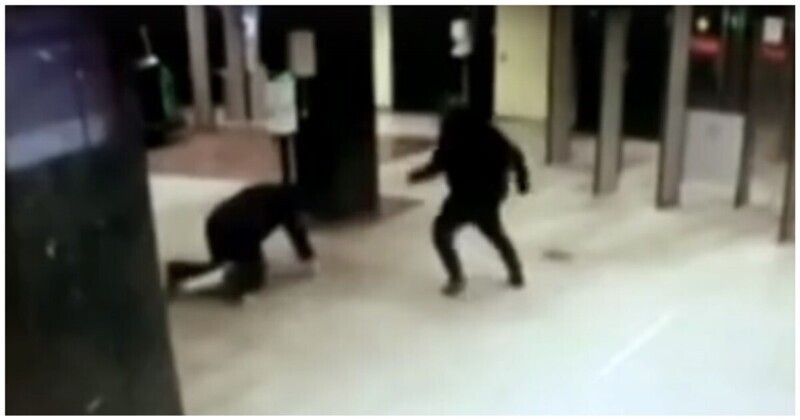 Неравнодушный гражданин остановил безбилетника, напавшего на сотрудника службы безопасности метро