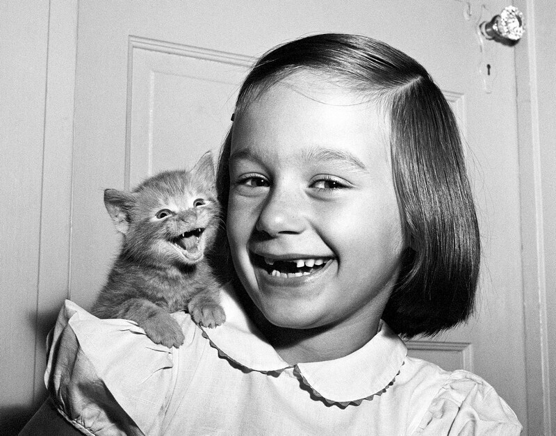 Дочь фотографа Пола и котёнок, 1955.
