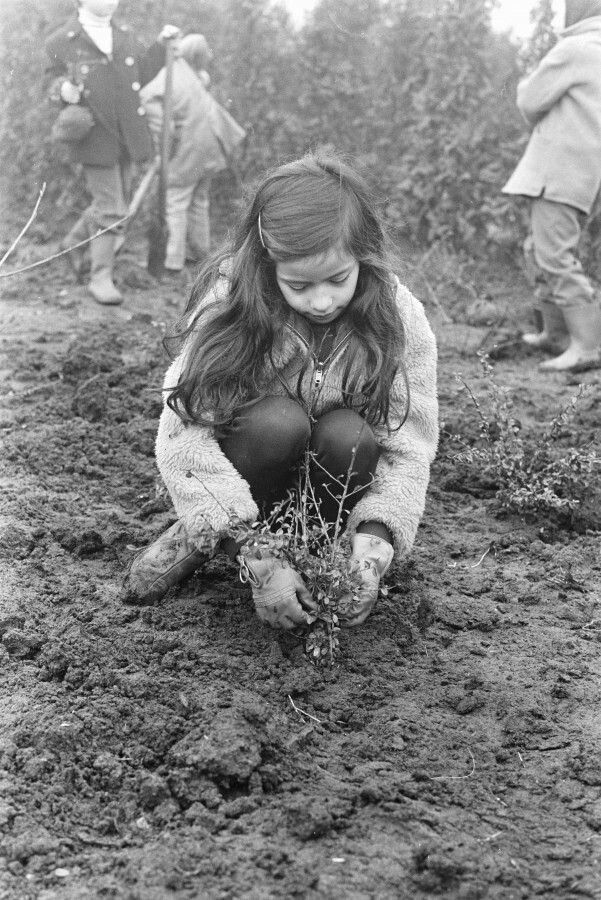 11 февраля 1971 года. Амстердам, Амстелпарк.