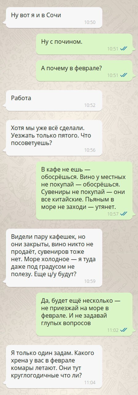 Переписка WhatsApp