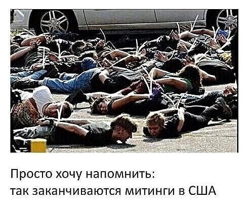 О политике и не только