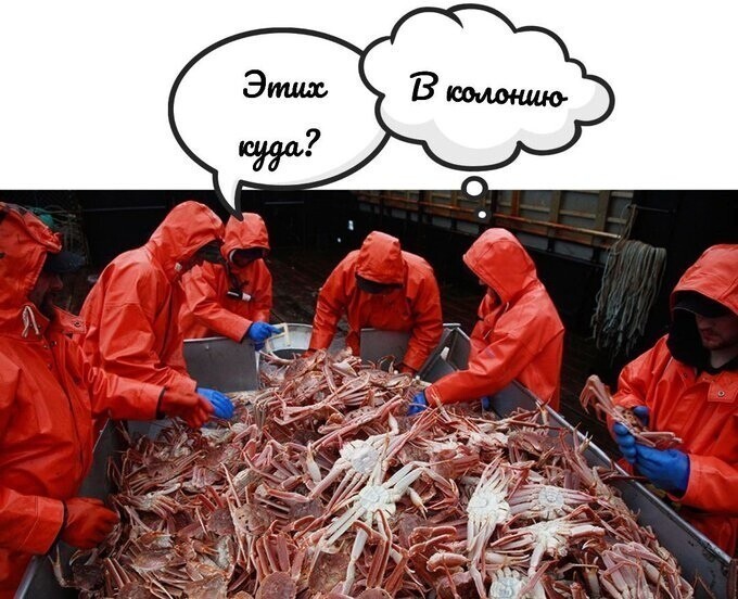 Ахахах... он омаров, омаров любит