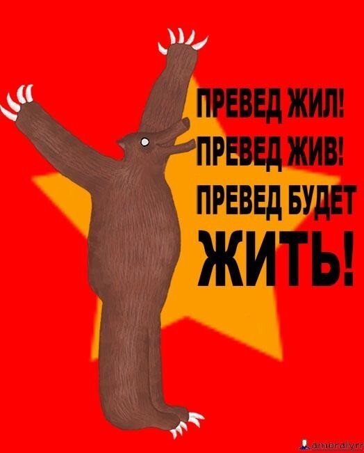 Превед, медвед: легендарному российскому мему исполнилось 15 лет