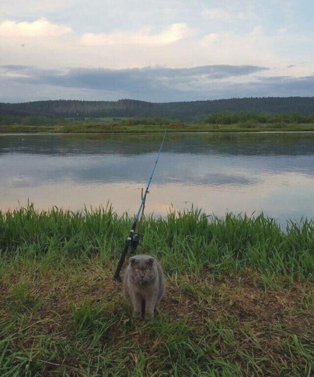 Они знают толк в рыбе