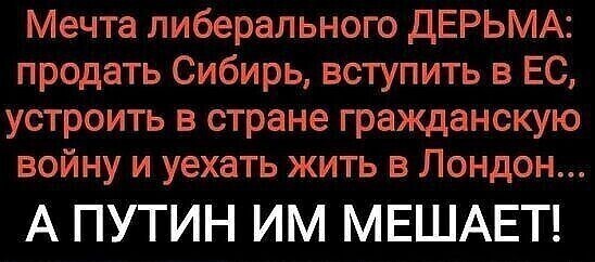 О политике и не только