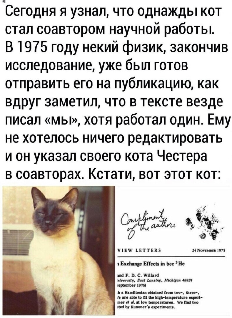 Политические комментарии и другой разный юмор с сарказмом и без