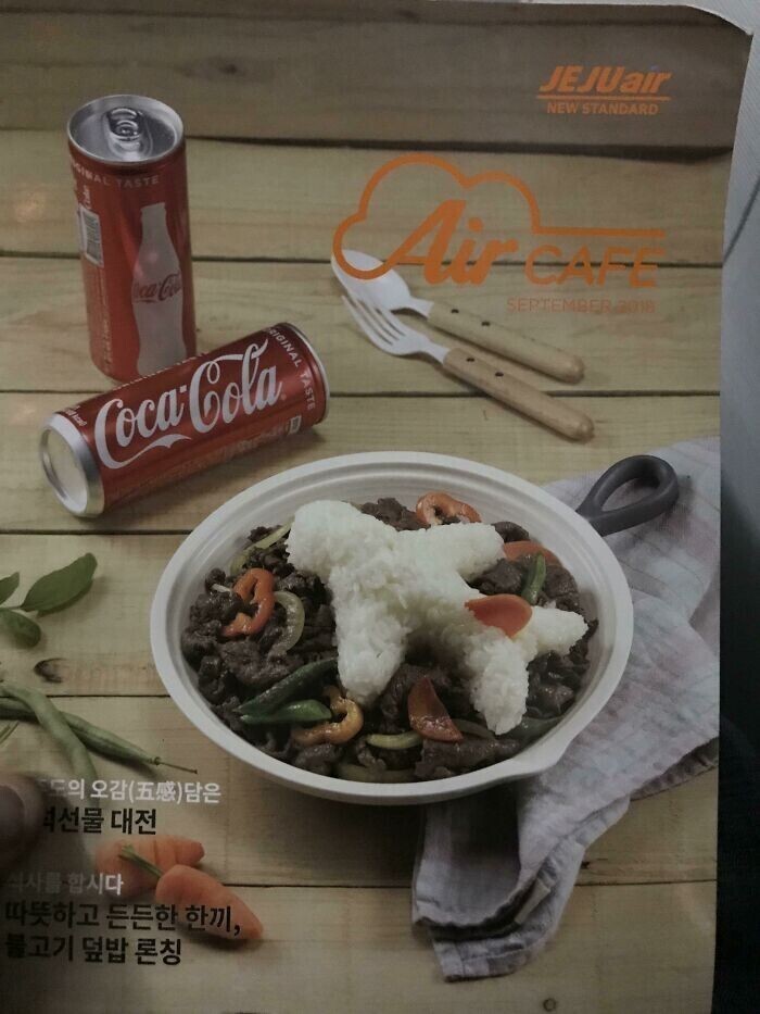 Авиакомпания украсила презентационное блюдо в меню самолетиком из риса... или не самолетиком?
