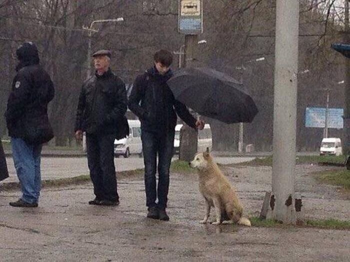 Старые добрые фотографии