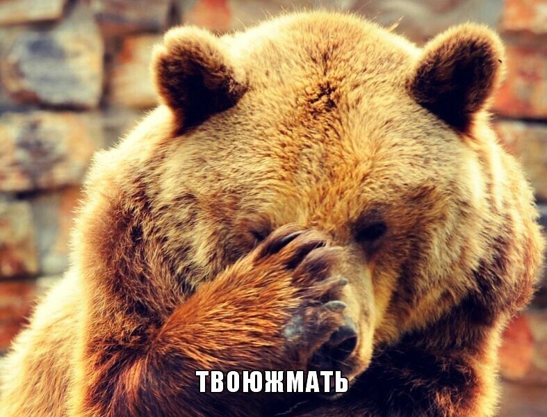 О политике и не только
