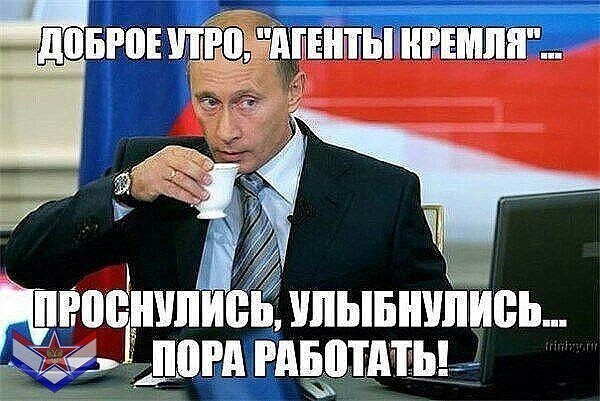 О политике и не только