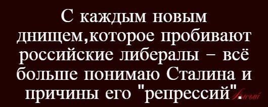 О политике и не только