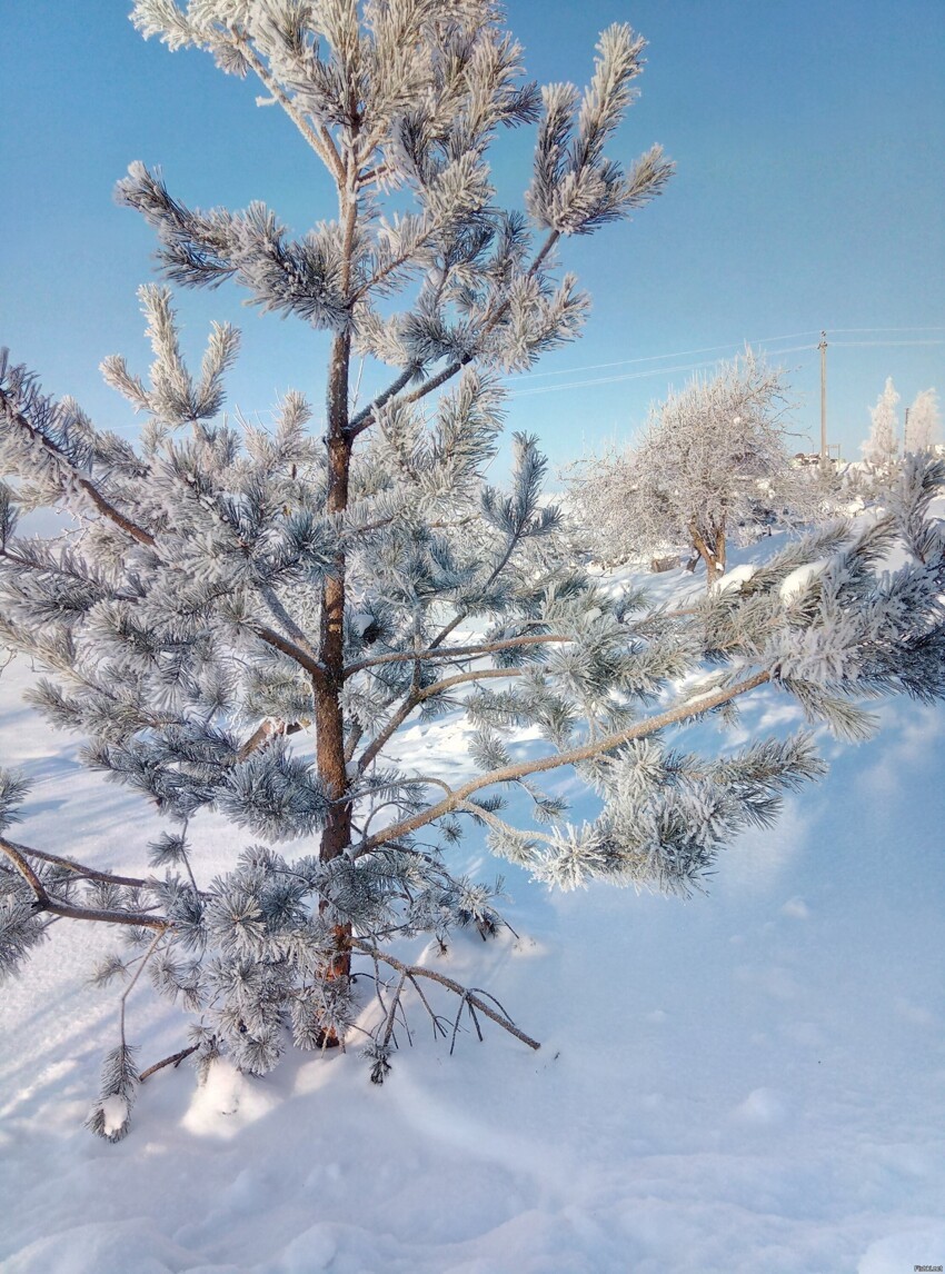 Холодно