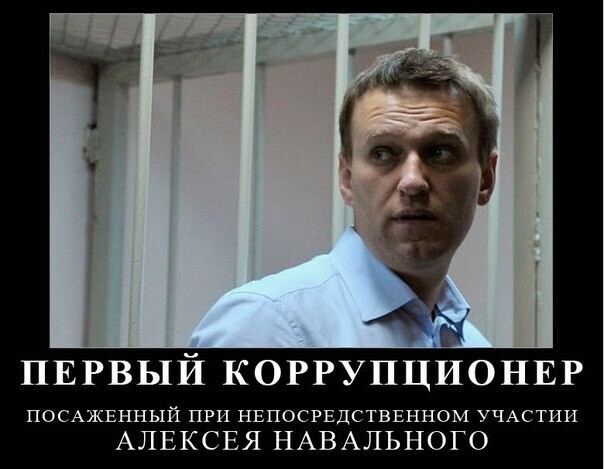 О политике и не только