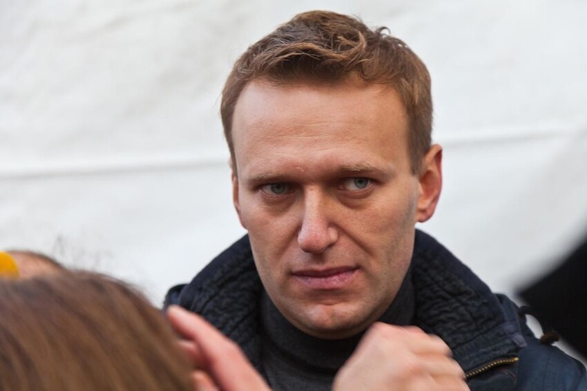 Почему для обозначения сторонников Навального используется название представителей семейства хомяковых?