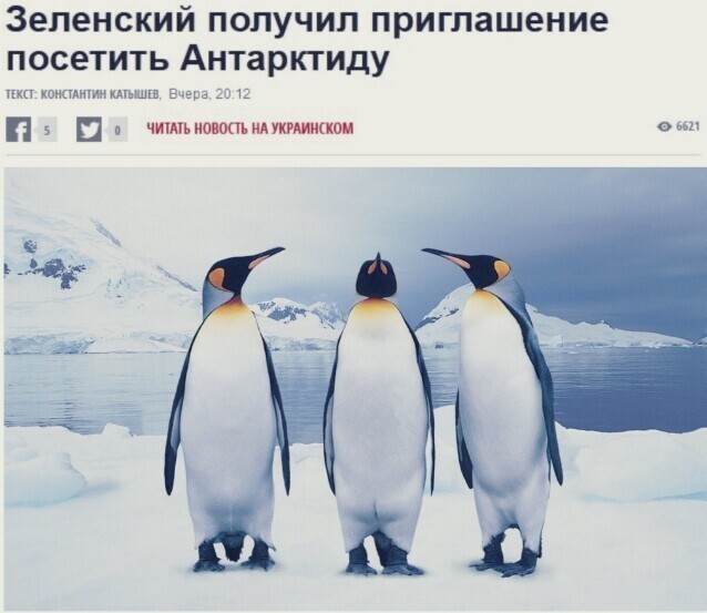 Пингвины думают какой зашквар,но это не мы