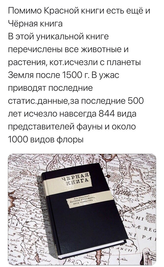 Политические комментарии и другой разный юмор с сарказмом и без