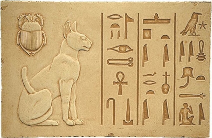В Древнем Египте смертная казнь полагалась за преднамеренное убийство кошки или ибиса (священных животных)