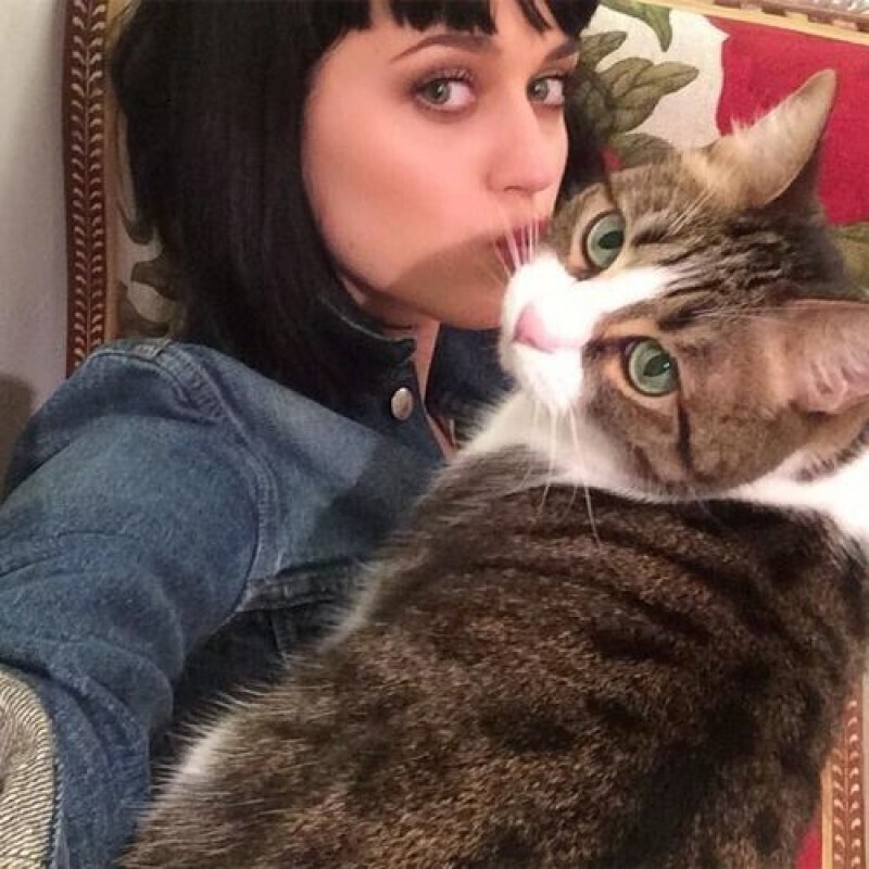 Кэти Перри и ее любимая кошка Китти Пэри, которая стала талисманом для певицы и ее фанатов. К сожалению, в прошлом году кошечки не стало