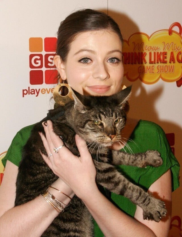 Мишель Трахтенберг - любительница кошек, которая всегда выступала за то, чтобы люди брали котеек из приютов