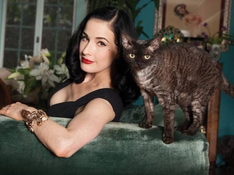 Дита фон Тиз и ее кот Алистер, подарок бывшего супруга Мэрилина Мэнсона
