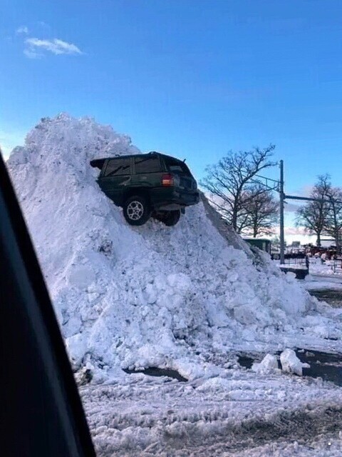 Автовсячина