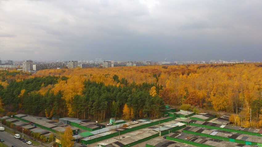 Однажды в Бирюлёво