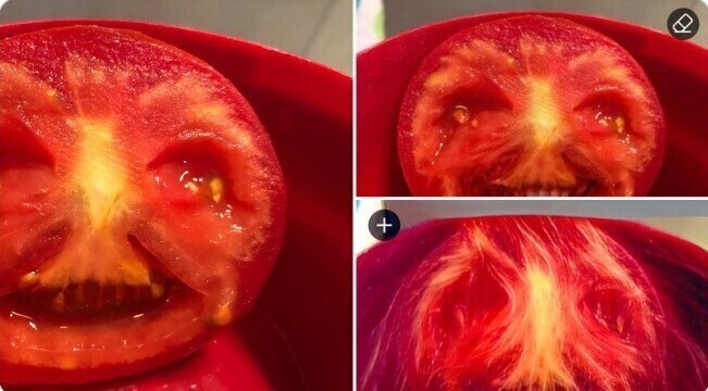 "Хорошие новости - мой телефон распознал эту помидорину, как лицо. Плохие новости - зачем я это увидел?"