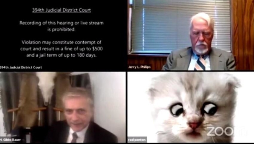 Адвокату на заседании суда пришлось защищаться, доказывая, что он не котик