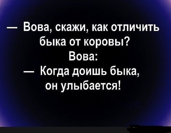 Смешные картинки