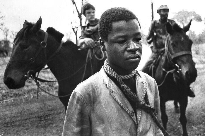 18. «Три фотографии из партизанских районов Родезии», 1978 год
