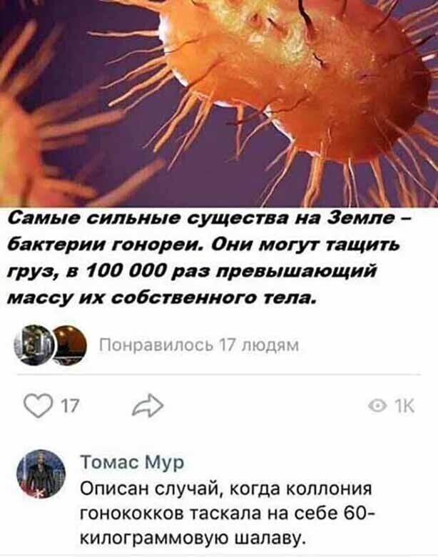 Скрины из соцсетей