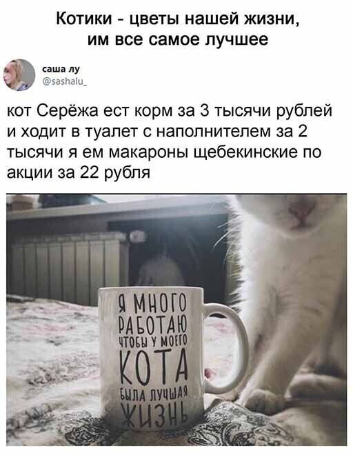 Скрины из соцсетей