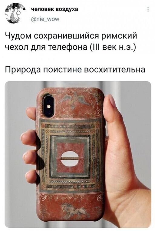 Скрины из соцсетей