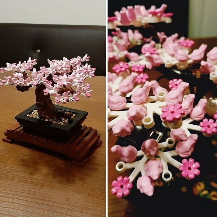 Оказывается бонсай от LEGO цветет маленькими розовыми лягушками