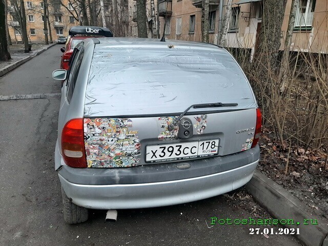 Автовсячина