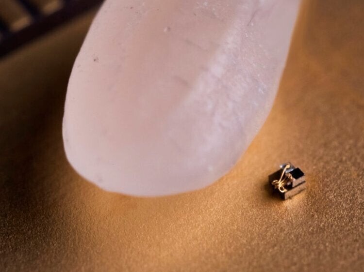 6. Самый маленький компьютер в мире в сравнении с рисинкой