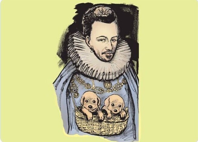 21. Французский король Генрих III Валуа, по рассказам, держал 2000 маленьких комнатных собачек и постоянно носил на шее корзинку со щенками