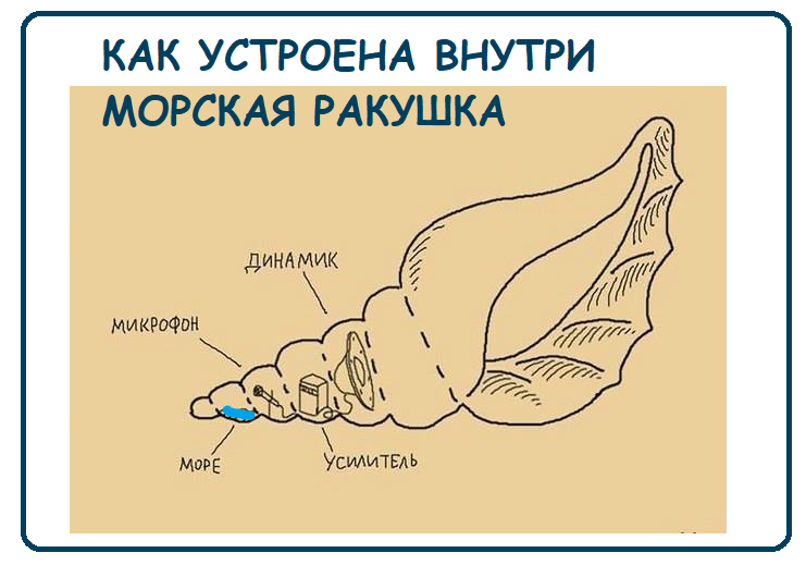 Весёлые картинки от Виктор Апрель за 12 февраля 2021