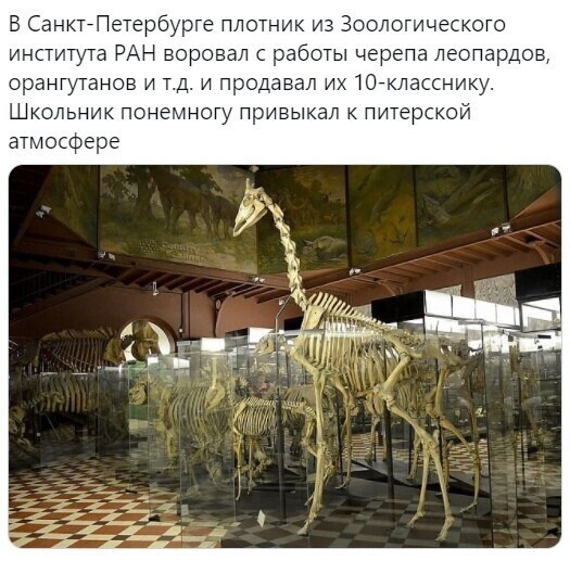 О политике и не только