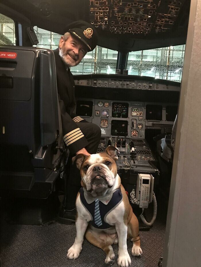 "Сегодня наш пес сфоткался с пилотом самолета"