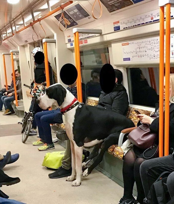 Хороший мальчик смирно сидит в метро