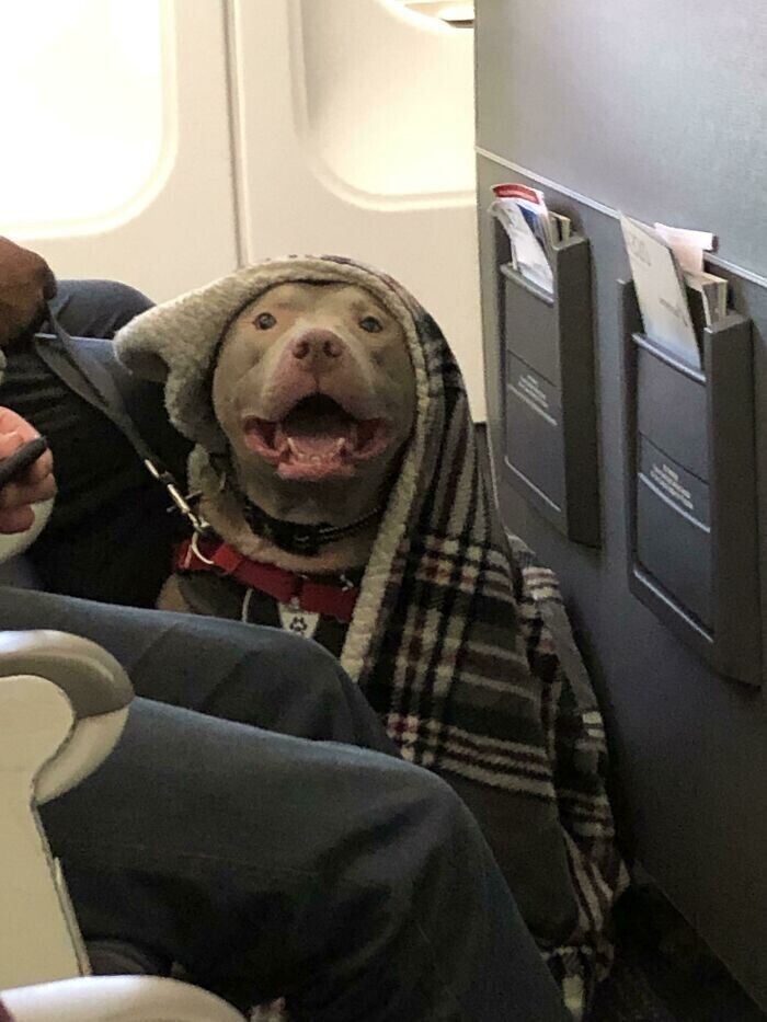 "А этот парень очень рад своему первому полету на самолете"